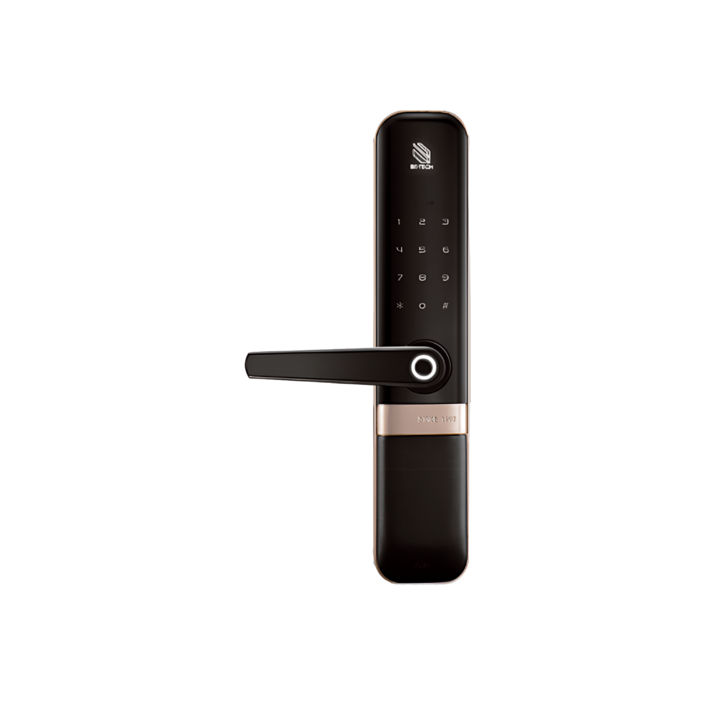 Digital Locks