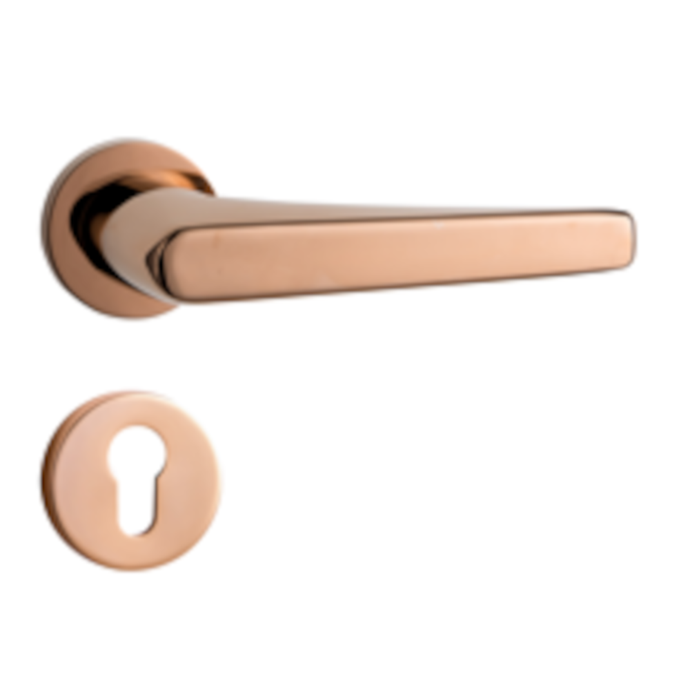 Gold Internal Door Handle Lock